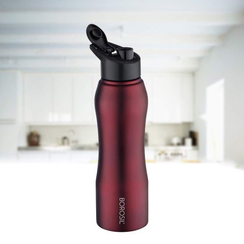 Merlot Vacuum Bottle